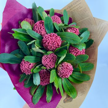 Waratah 'Corroboree' 10 Stem Bunch