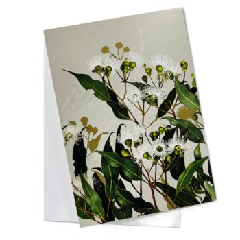 Card - Flowering Gum
