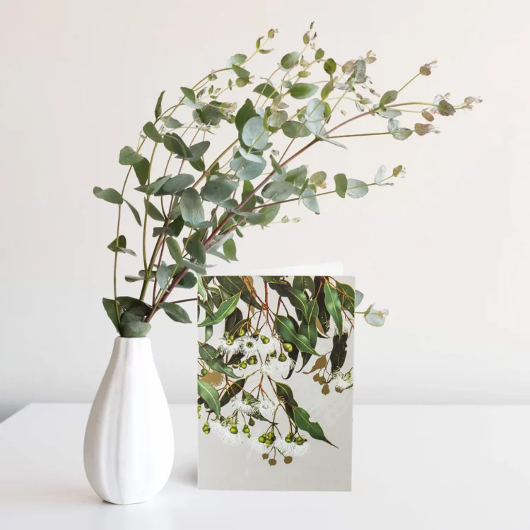Card - Marri Gum - Image 2