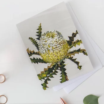 Card - Banksia Speciosa