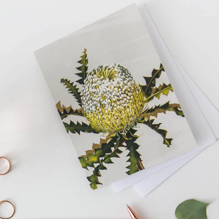 Card - Banksia Speciosa